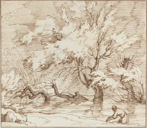 Arbres reflétés dans un ruisseau