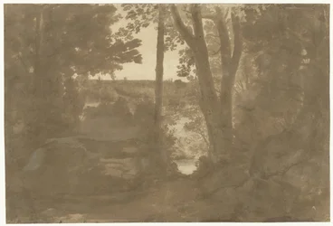 Paysage avec vue à travers les arbres
