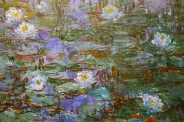 Nymphéas Bleus (détail)