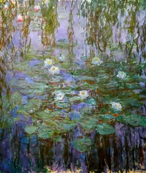 Nymphéas bleus (détail)