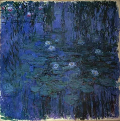 Nénuphar bleu