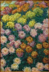 Parterre de chrysanthèmes, 1897