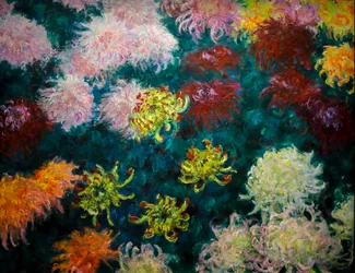 Parterre de chrysanthèmes