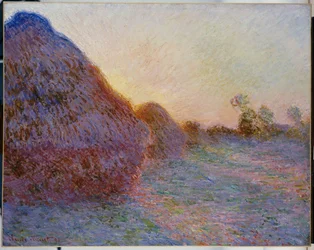 Meules de foin