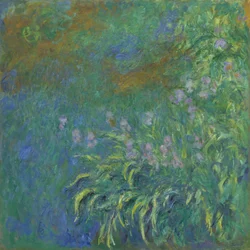 Iris, 1914-17
