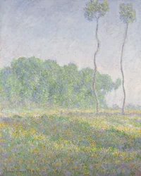 Paysage au printemps