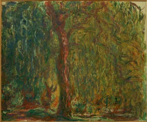 Le Saule pleureur
