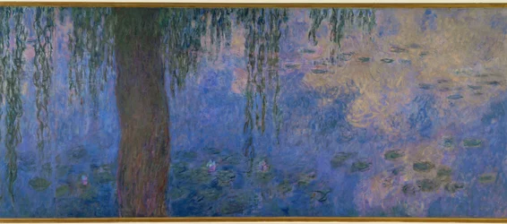Les Nympheas: le matin aux saules (oil on canvas)