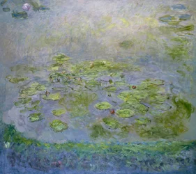 Les nymphéas
