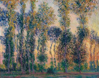 Les peupliers à Giverny, lever du soleil