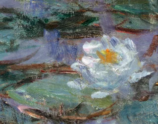 Nymphéas bleus. Détail d