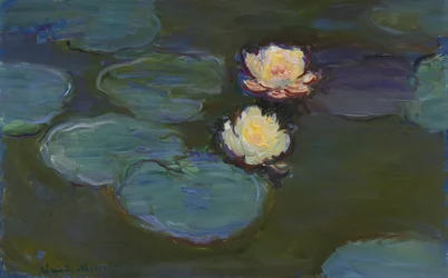 Nymphéas