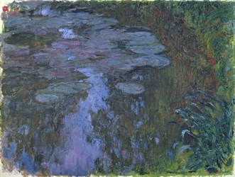 Nymphéas