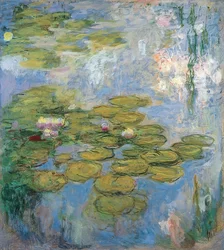 Nymphéas
