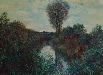 Petite branche de la Seine