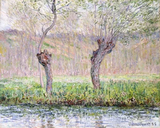 Printemps, saules