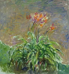 Les Hémérocalles. 1914-17