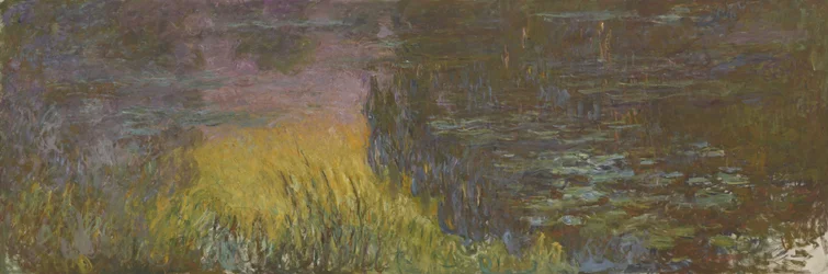 Les Nymphéas - Soleil couchant