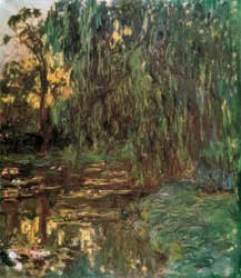 Vue du bassin aux nymphéas avec saule