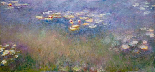 Nymphéas (Agapanthe) vers 1915-26 (huile sur toile)