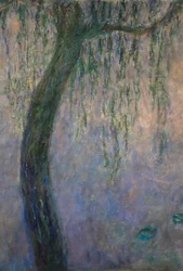 Nymphéas