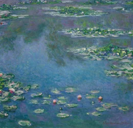Nymphéas