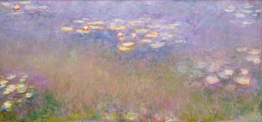 Nymphéas
