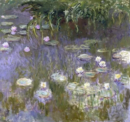 Les Nénuphars
