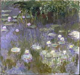 Nymphéas