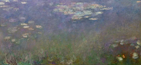 Nymphéas