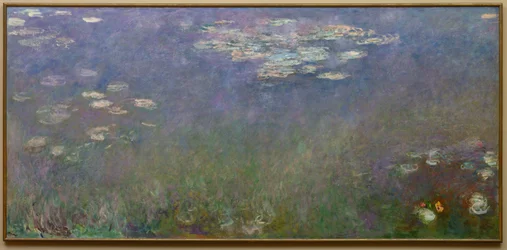 Nénuphars Agapanthus, vers 1915-26