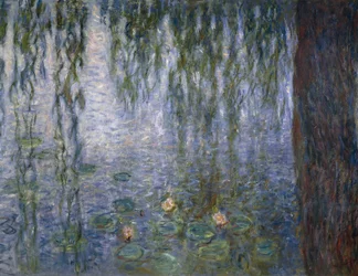 Nymphéas (détail)