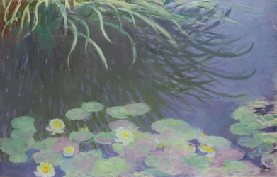 Nénuphars avec reflets de hautes herbes, 1914-1917