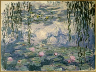 Nénuphars