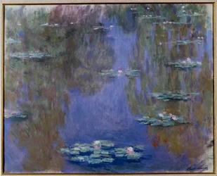 Nénuphars