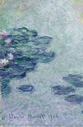 Nénuphars