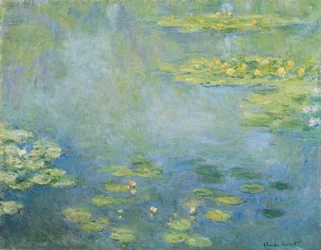 Nymphéas