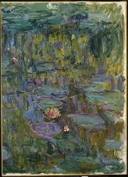Nénuphars