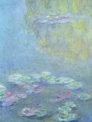 Nymphéas, 1906 (détail de 242510)