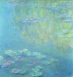 Nymphéas, 1906
