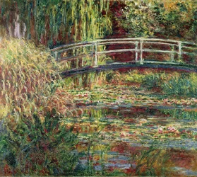 Bassin aux nymphéas : harmonie rose
