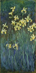 Iris jaunes, 1914-1917