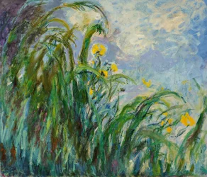 Iris jaunes, vers 1925