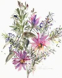 Fleurs, marguerites sud-africaines et lavande, 2004