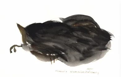 Chat endormi, 1985