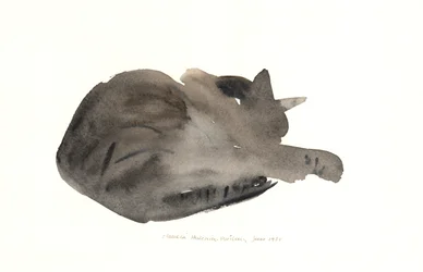 Chat endormi, 1985