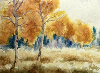 Aspens d