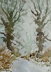 Les chênes - matinée de brouillard givré
