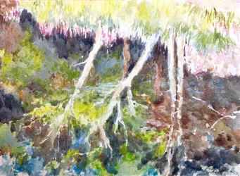 Reflets de bois, Silver Lake, 2017 (aquarelle)