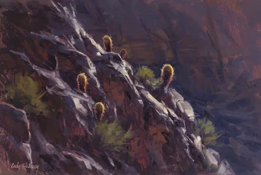 La pente des cactus dorés